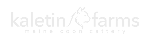 Kaletin Farms Maine Coon Cattery